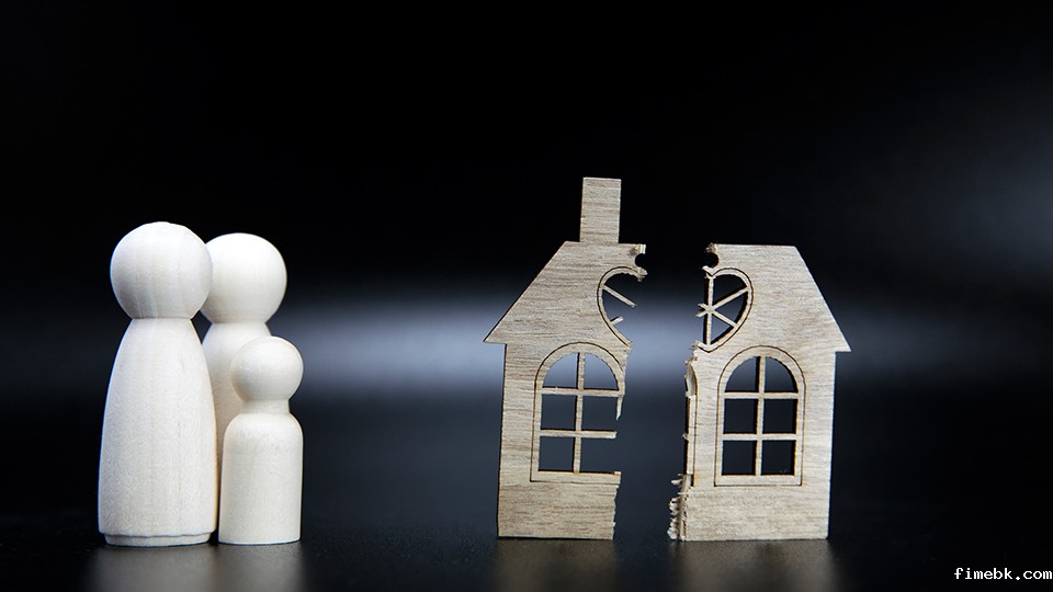 子女抚养费 子女抚养费