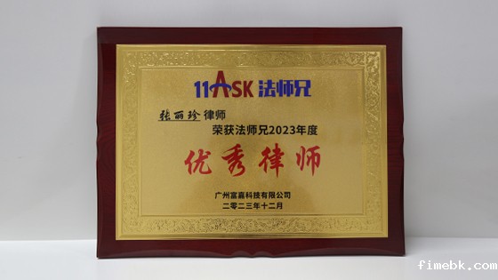 法师兄年度优秀律师