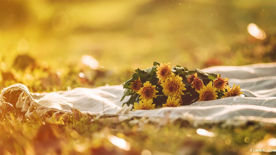 诉前调解离婚需要立案吗